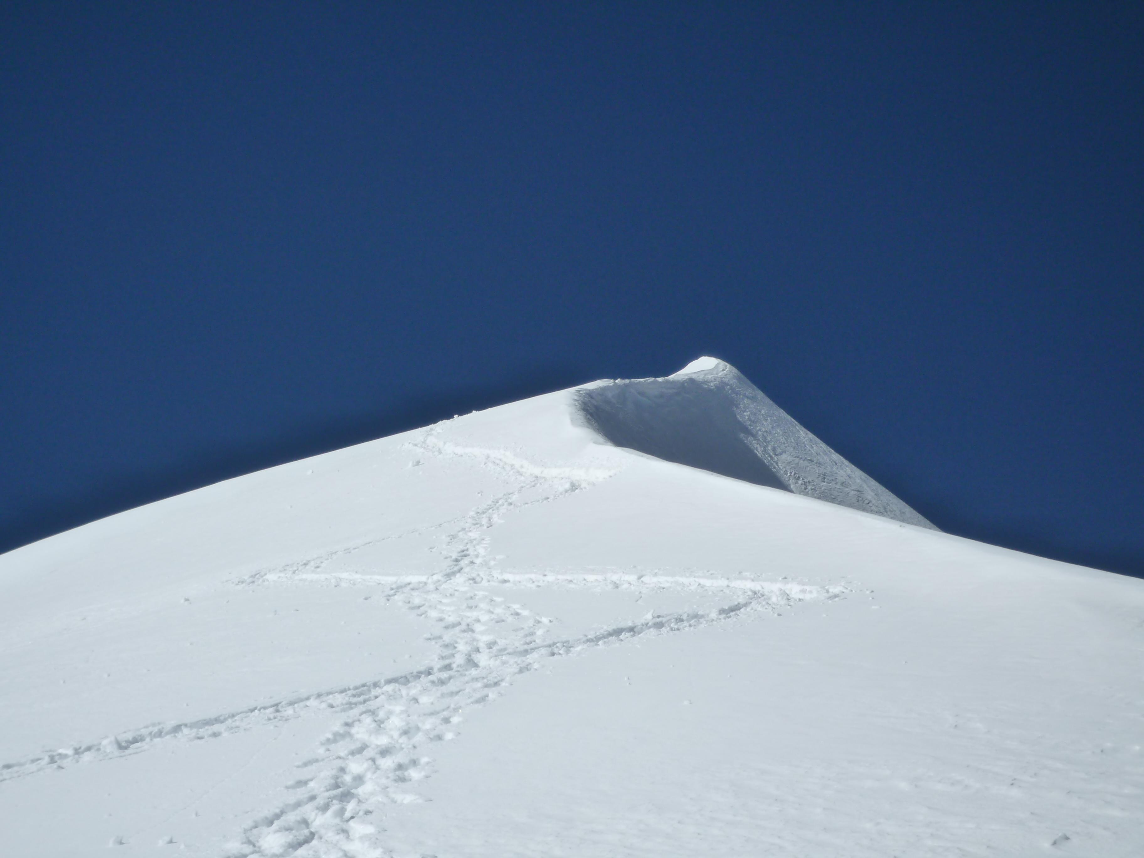 © crédit photo : twiga269 ॐ FEMEN - Flickr - 2009