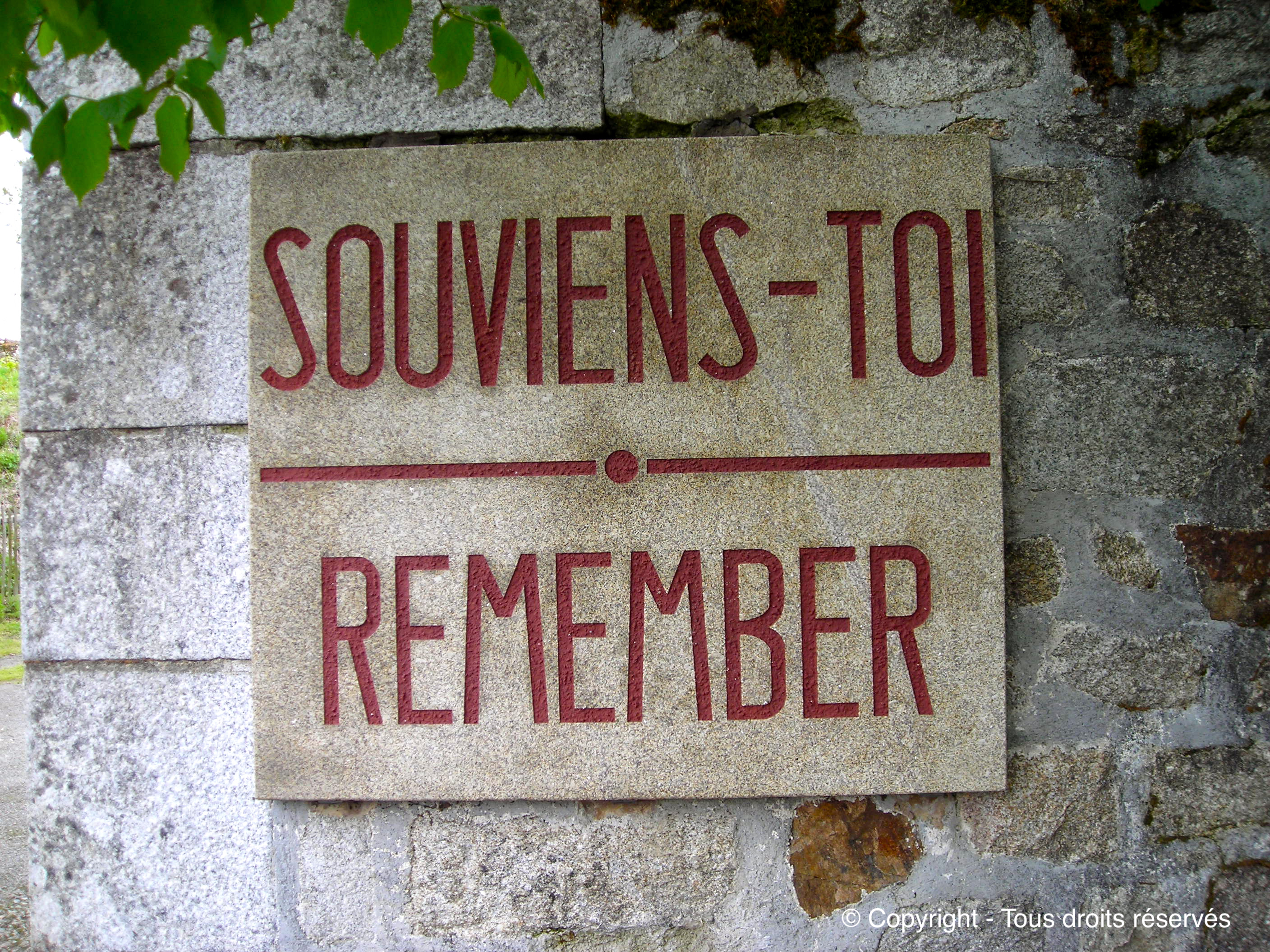 « SOUVIENS-TOI, REMEMBER&nbsp;»